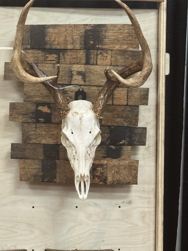 Rustic bourbon barrel - rustic,