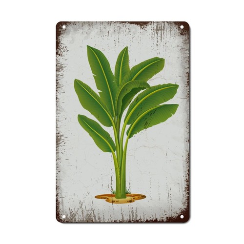 Vintage palm tree - palm, tin