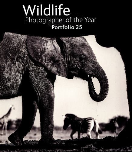 Wildlife photographer the - wildlife, of