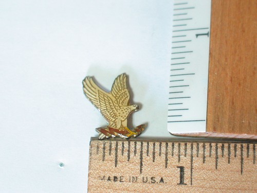 Flying eagle with - flying,