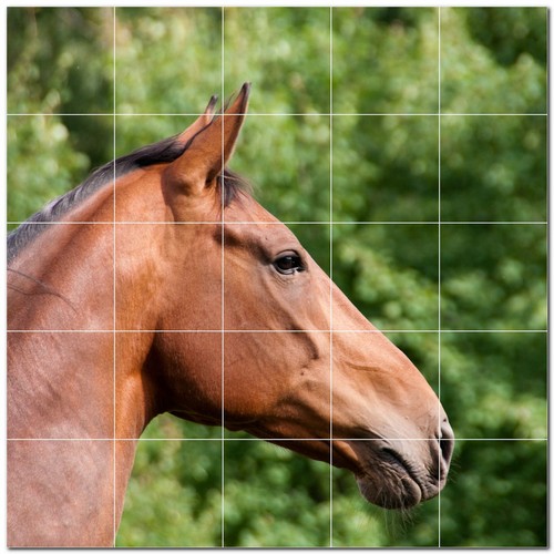 Horse ceramic tile wall - horse,