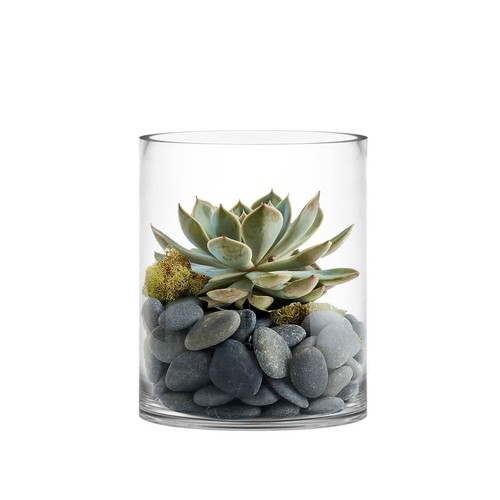 Cys excel large clear glass - large,