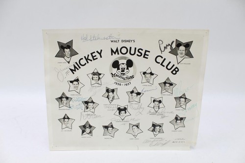 Walt disney mickey mouse - disney's,