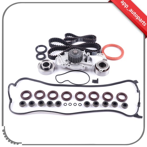 Timing belt kit - belt, water