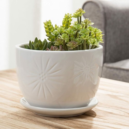 Inch white sunburst - sunburst, design