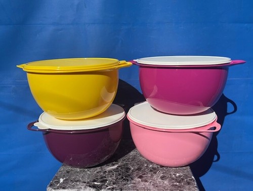 Tupperware thatsa mega bowl - tupperware,
