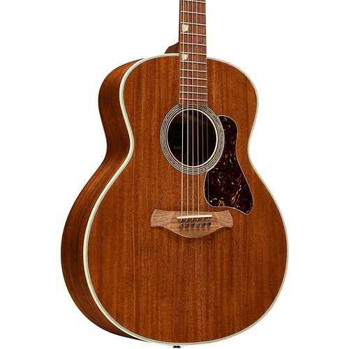 Taylor 2026 catch - taylor, custom