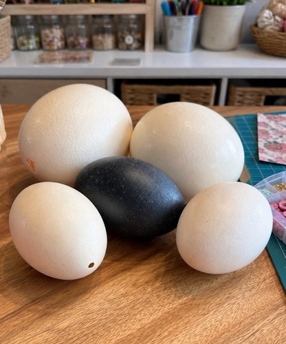 Real blown egg shells - blown,