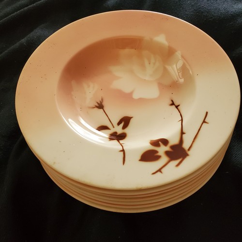Syracuse china rose madame - china,