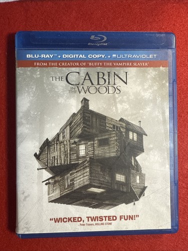 The cabin woods - in,