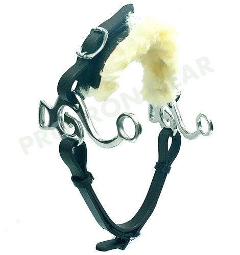Hackamore bitless horse - hackamore, bit