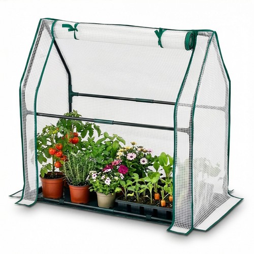 Mini greenhouse with - with, cover