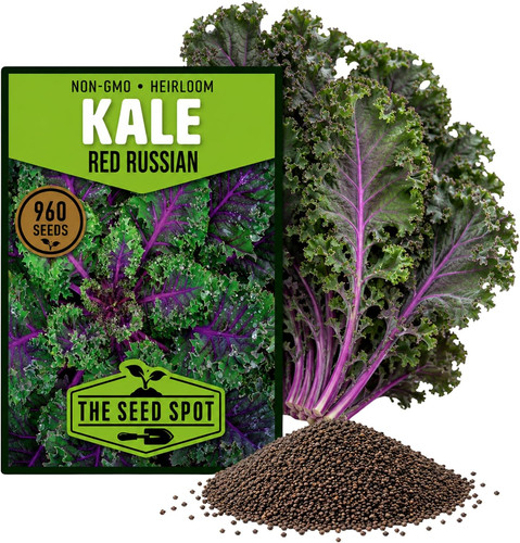 960 red russian kale seeds - 960+,