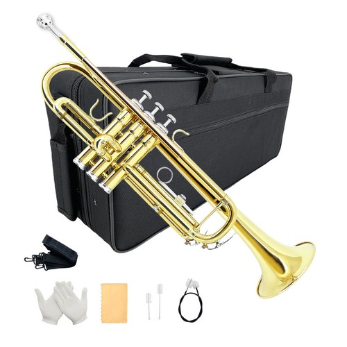 Student trumpet for - bb,