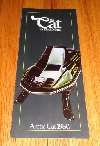 Original 1980 arctic cat - original,