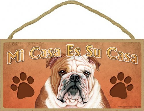 Casa my house - ,