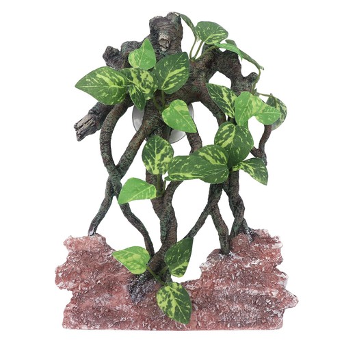 Reptile climb tree branch rock - tree,