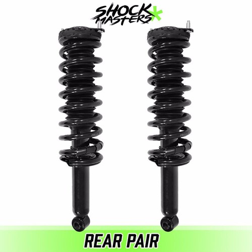 Rear pair complete struts coil - rear,