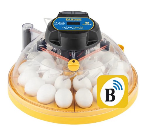 Brinsea maxi egg - brinsea, ex