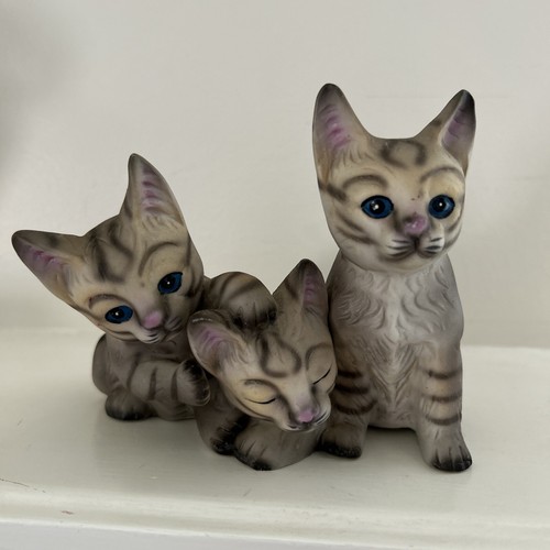 Striped gray tabby kittens - striped,