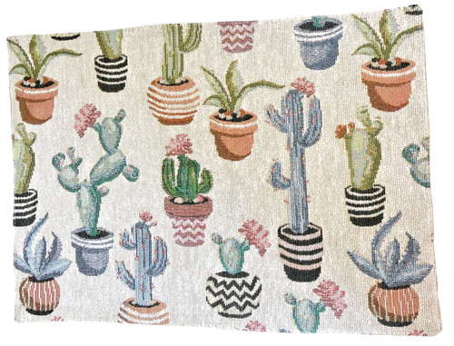 Southwest cactus desert - southwest,