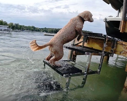Solbreeze big dog boat and - solbreeze,