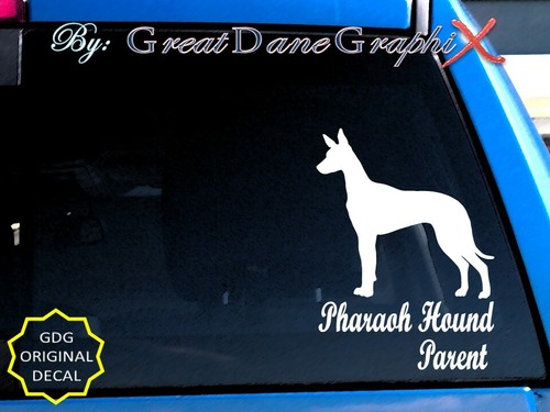 Pharaoh hound mom dad - -mom, -dad