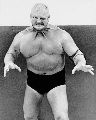 Pro wrestler dick the - wrestler,