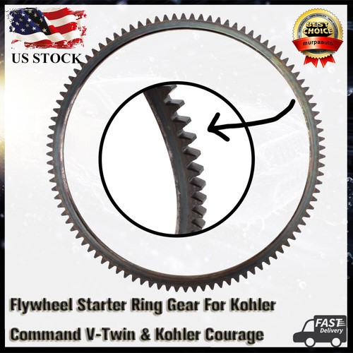 Flywheel starter ring gear - starter,