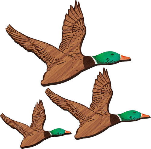 Size mallard duck - 3, wall