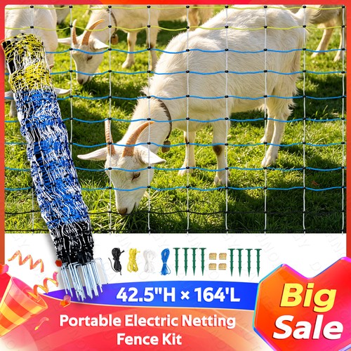164 blue electric - 42.5"×164',