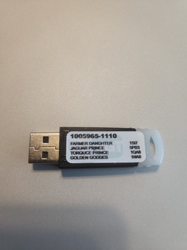 Igt license dongle only - 1,