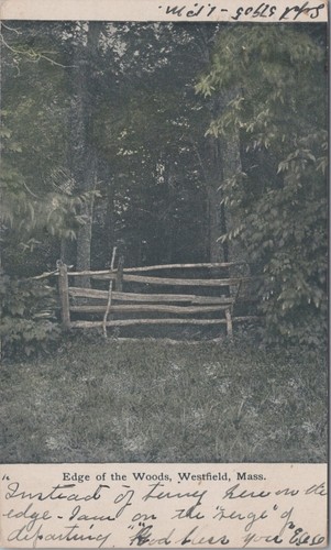 Edge the woods westfield ma - of,