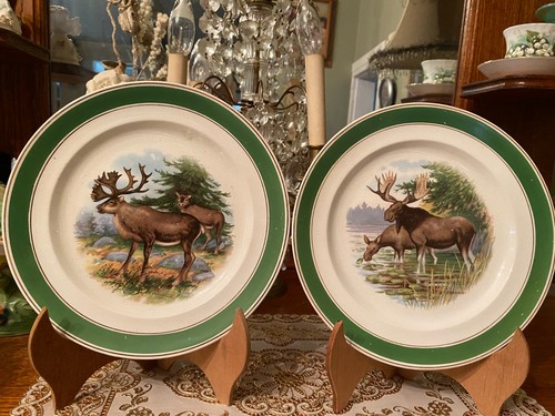 Vintage buffalo china moose - vintage,
