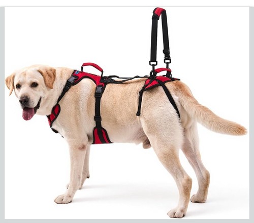 Lafoty full body lift harness - full-body,
