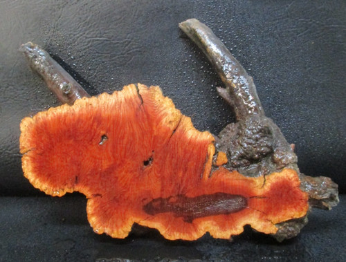Manzanita burl wood - manzanita,