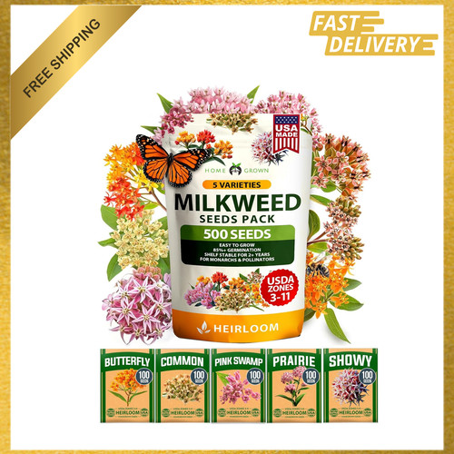 Milkweed flower seeds - flower,