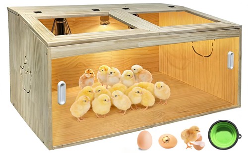 Piece large chicken brooder - 21-piece,