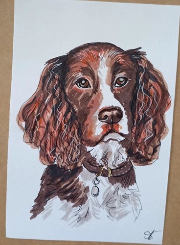 Cocker spaniel dog portrait - spaniel,