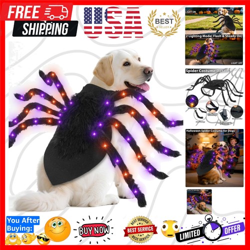 Led spider dog halloween - 24,