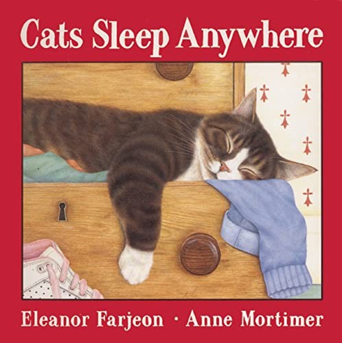 Cats sleep anywhere - cats,