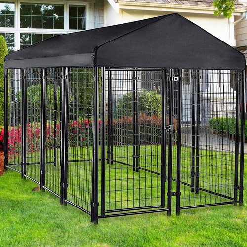 Oversize outdoor pet dog - outdoor,