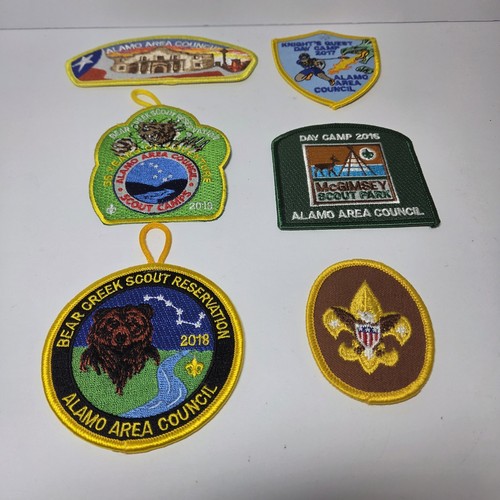 Bsa alamo area - area, council