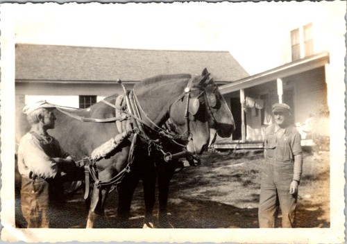 1910s farm life photograph - 1910s, two