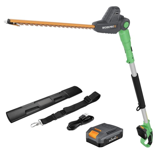 Workprox 20v cordless pole - cordless,