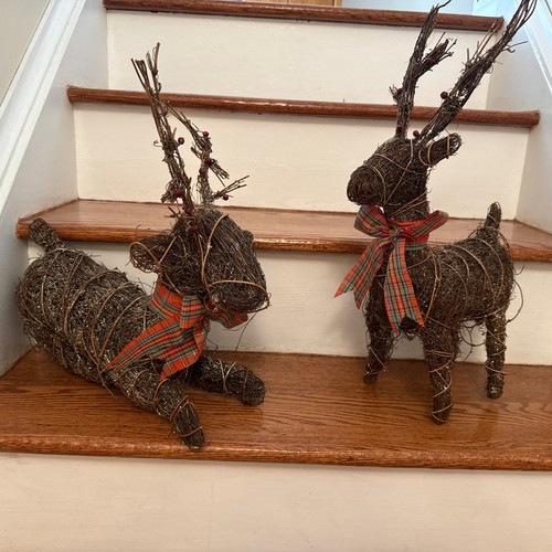 Christmas grapevine - grapevine, 2