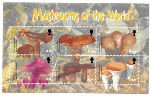 Montserrat 2003 mushrooms - montserrat,