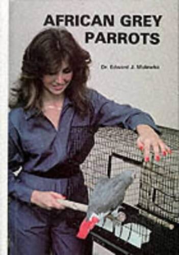 African grey parrots - african,