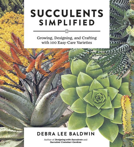 Succulents simplified - succulents,