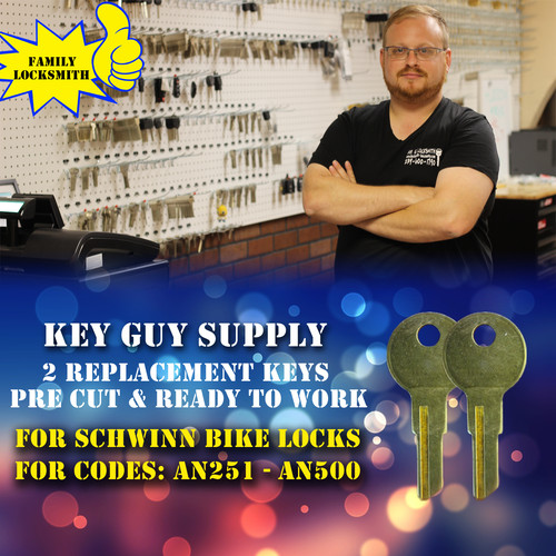 An251 an500 pair of keys - an251, an500.